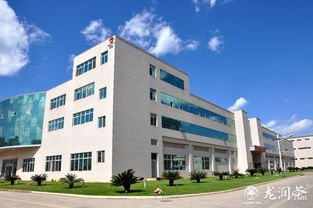 昆明龙润茶叶生产中心的网络技术服务 数字化转型中的茶业新引擎